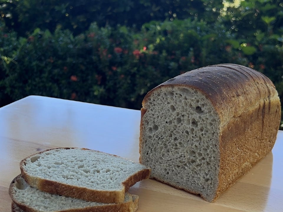Pan de Miel